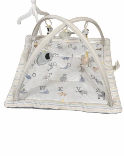 Pottery Barn Kids Skip Hop Play Gym Mat, Abc Play Gym