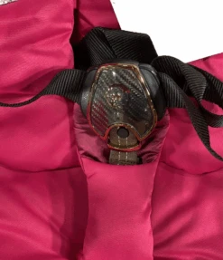 Cybex E-PRIAM Electric Stroller, Rosegold, Fancy Pink/Rose, 2019 16 Cybex E-PRIAM Electric Stroller, Rosegold, Fancy Pink/Rose, 2019 -Kindly Baby Shop 91e6dec2 0234 4cd5 a035 db121ba18e3c