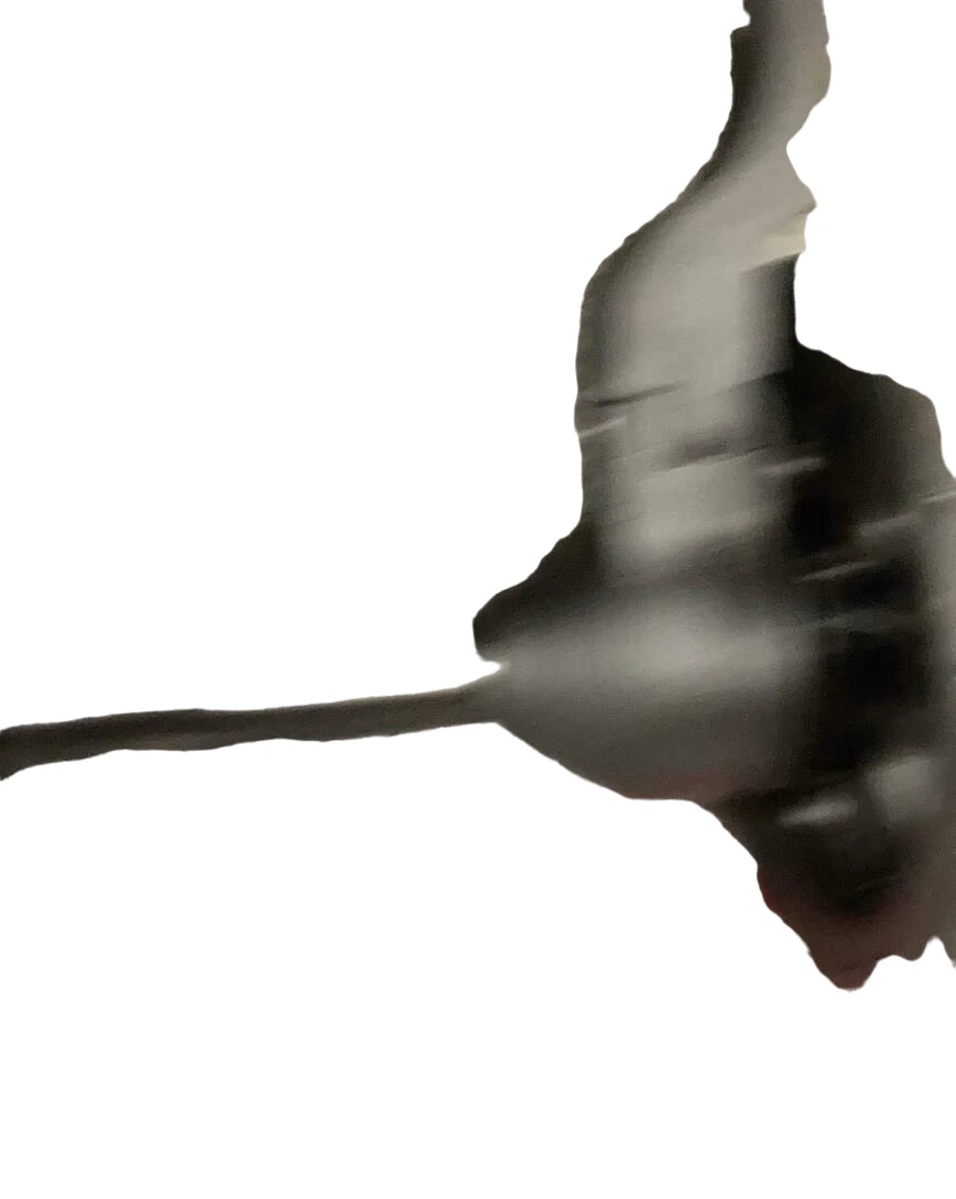 Colugo Compact Stroller, Cocoa, 2022 13 Colugo Compact Stroller, Cocoa, 2022 - Image 12