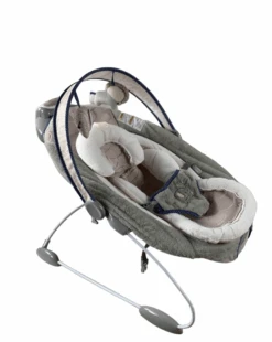 Ingenuity SmartBounce Automatic Bouncer, Townsend