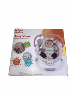 Bright Starts Cradling Bouncer, Rosy Vines